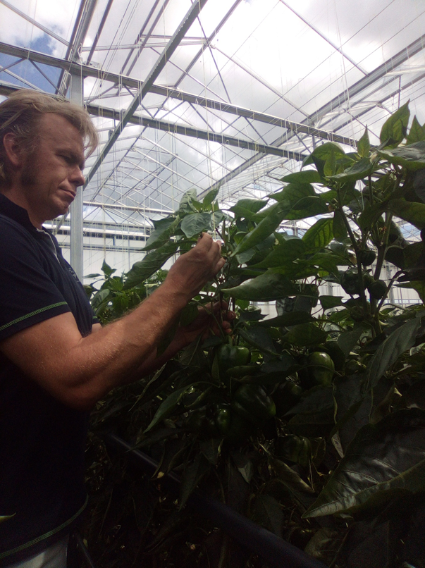 Werkwijze M-Force Horti Solutions